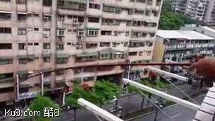 GIF动态图：住高层也能钓鱼吃